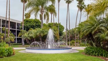 Lush garden courtyard with a fountain